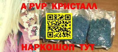 спайс Кингисепп
