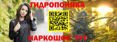 спайс Кингисепп