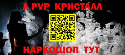 спайс Кингисепп