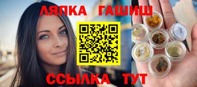 спайс Кингисепп