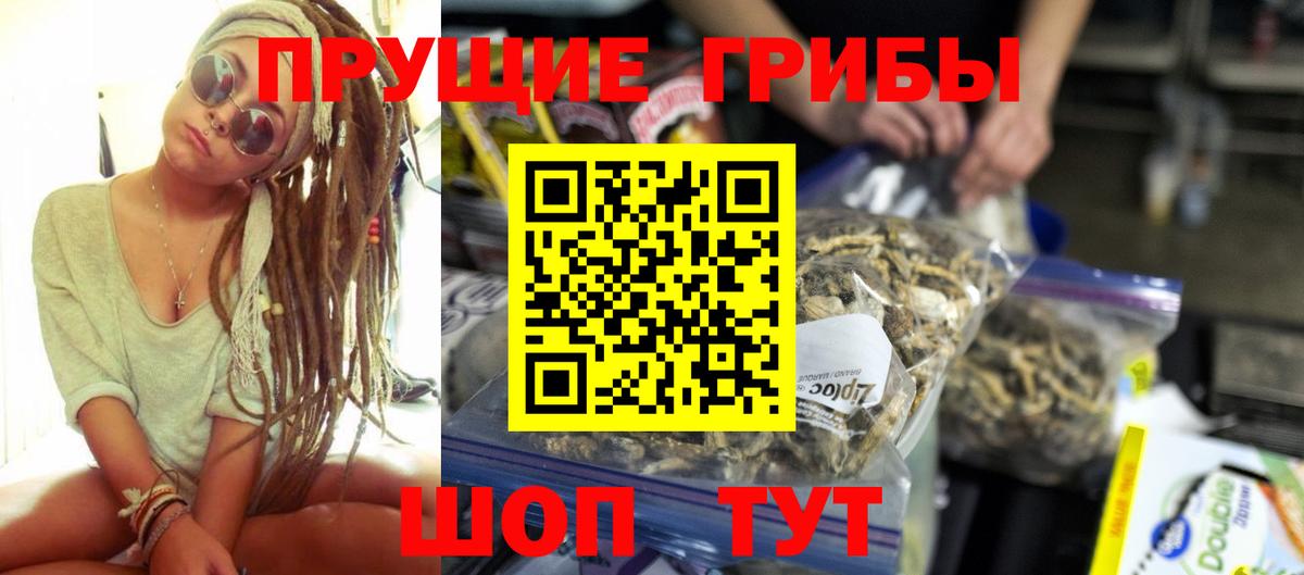 Галлюциногенные грибы Cubensis Чехов