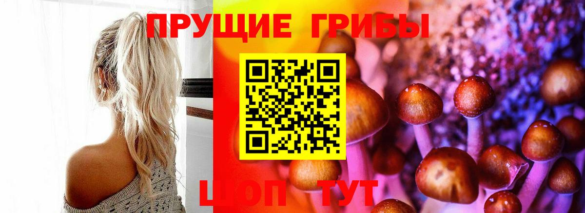 Галлюциногенные грибы прущие грибы  Галлюциногенные грибы Cubensis  Чехов  Вход с VPN 